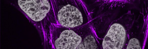 DalPathology Profile Banner