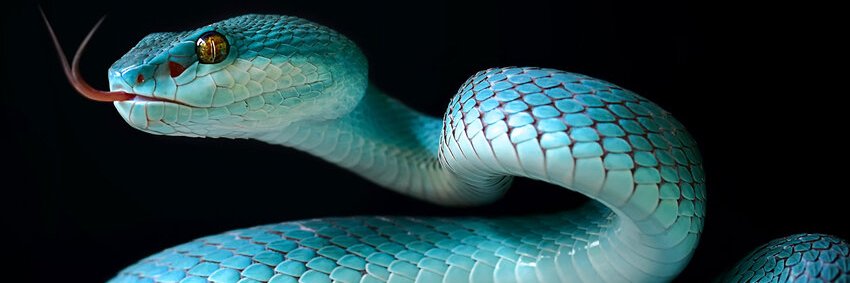 edgy technologist banner