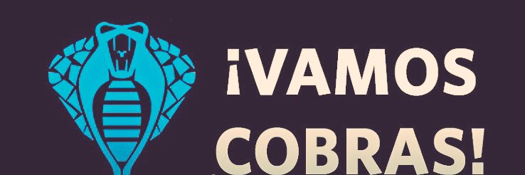 CobrasEEG's profile banner image