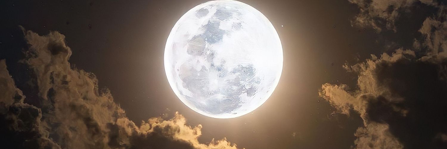 _pedrogloria's profile banner image