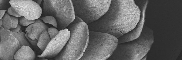 NickDesnoyer Profile Banner