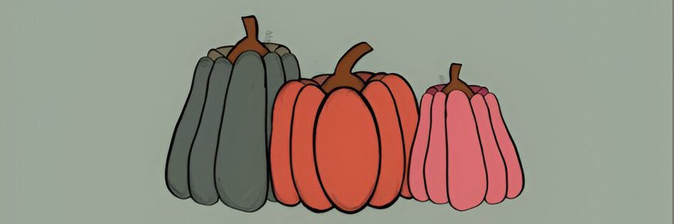 camifavreau_'s profile banner image