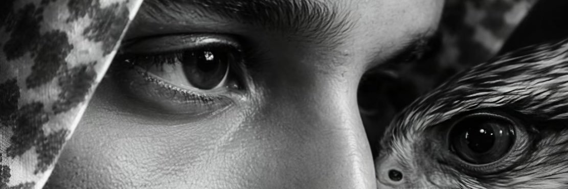 5vqlw's profile banner image