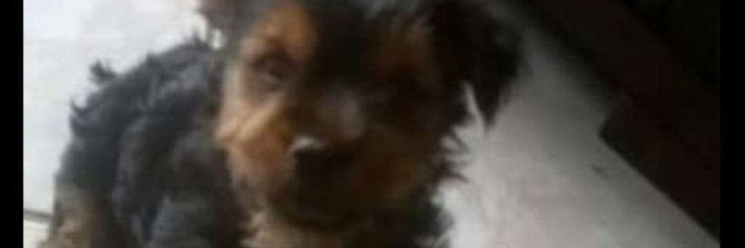 Jesse11054854's profile banner image