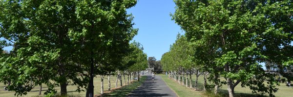 DarebinMayor Profile Banner