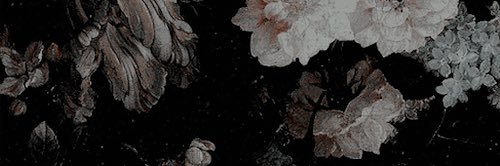imperialvader's profile banner image