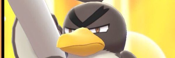 ElPollero11 Profile Banner