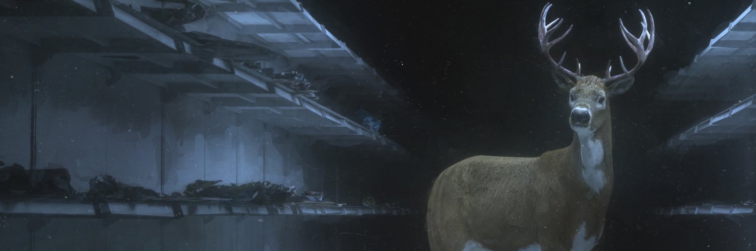 priapusbr's profile banner image