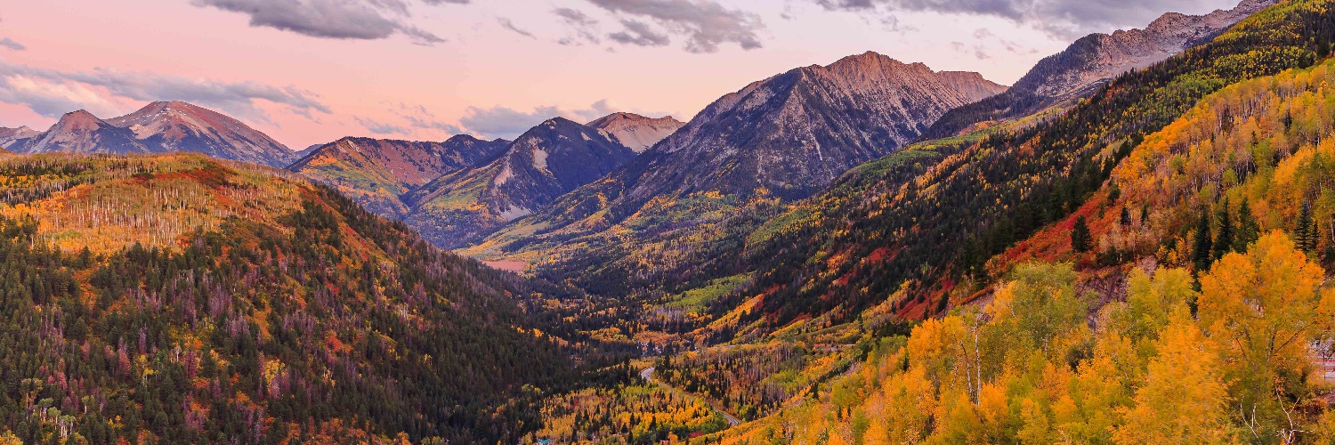 Alex Sánchez banner