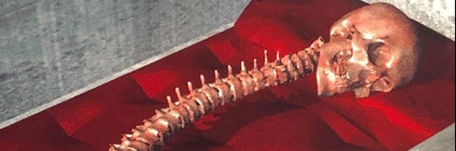 LHoltyn's profile banner image