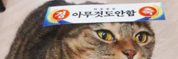 FlowerPigeon73 Profile Banner