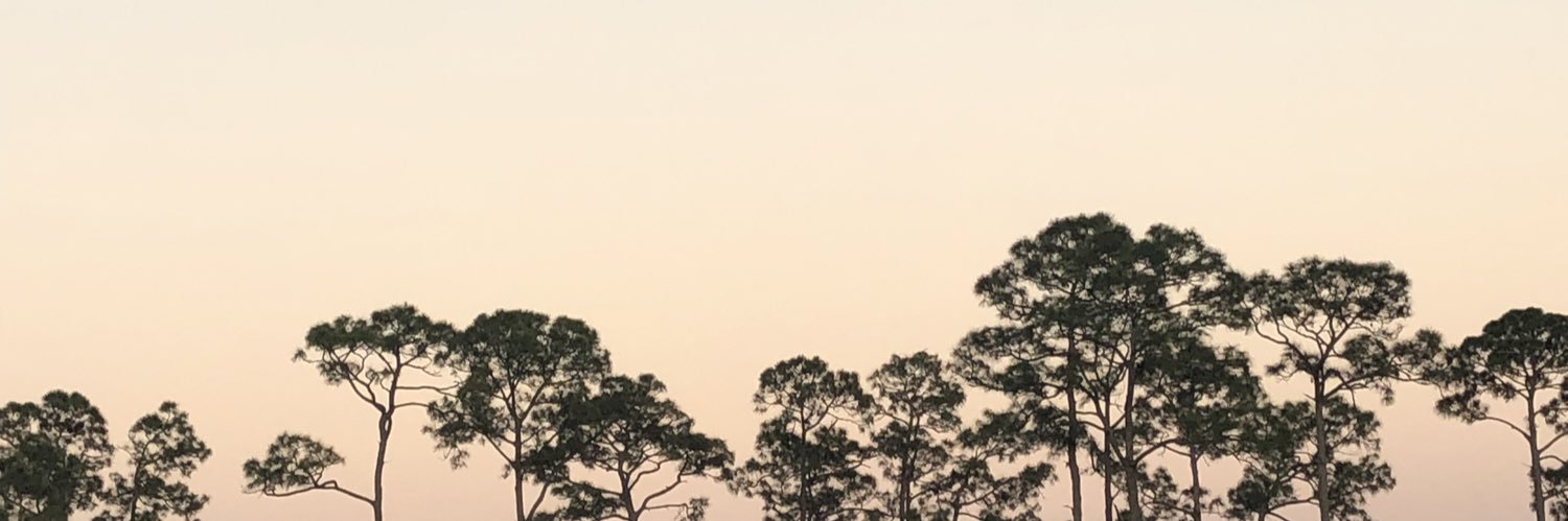 schuves35's profile banner image