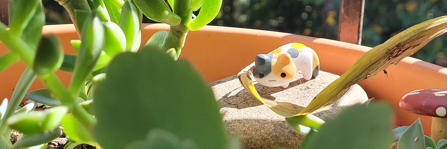 RoxelCake's profile banner image