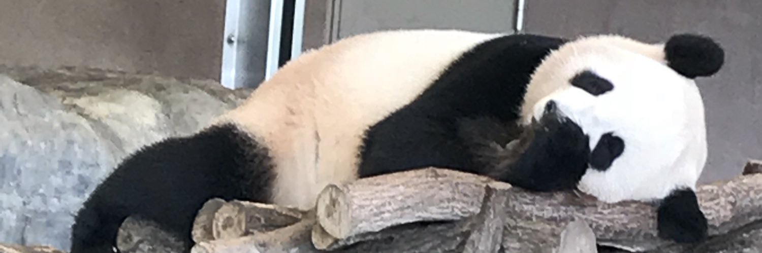 9sota0's profile banner image