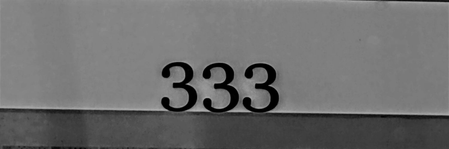 333thenumbers's profile banner image