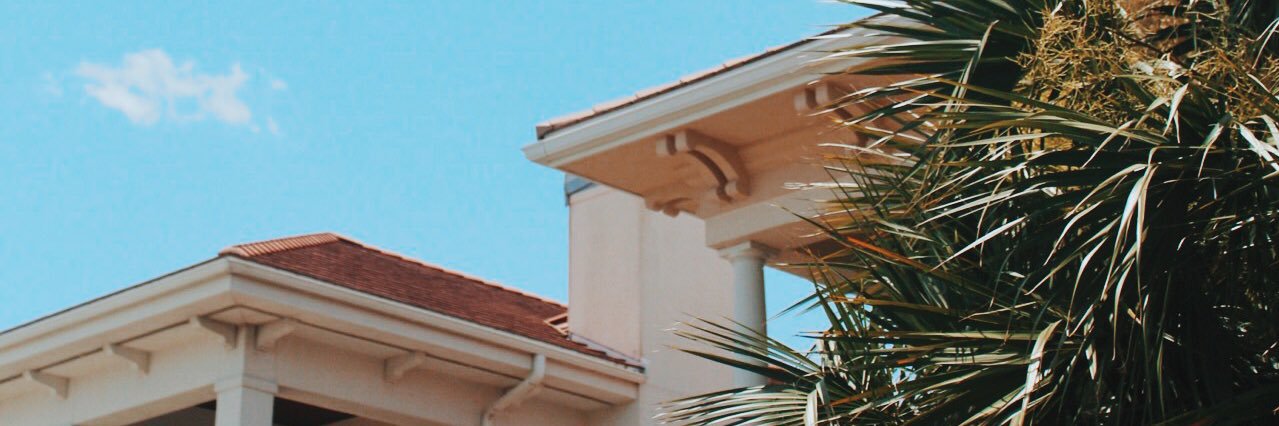 Palmertrees banner