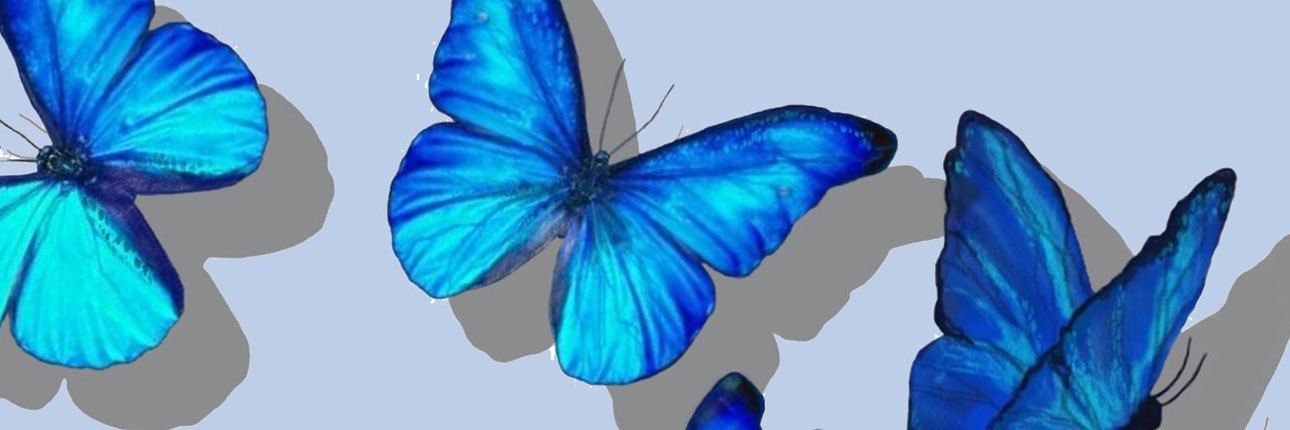 Ivanleeeeeeeeee's profile banner image
