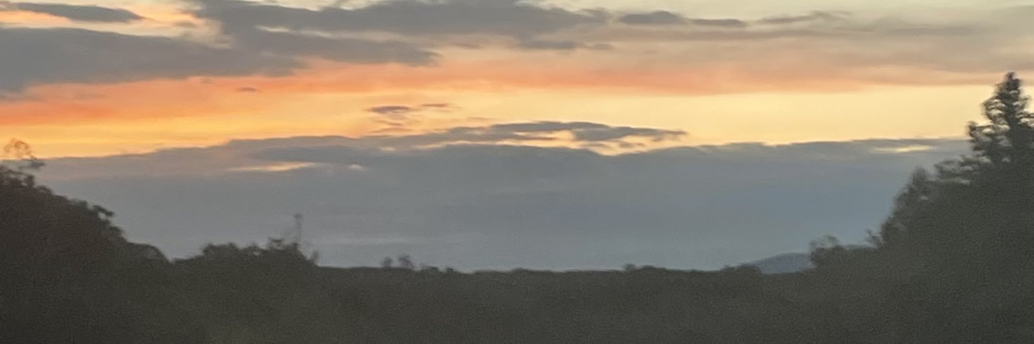 _BellaW_'s profile banner image