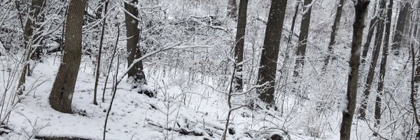 AlaricCale Profile Banner
