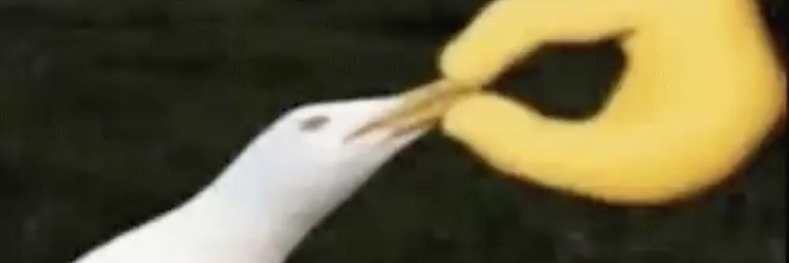 smolcrowbro flies elsewhere banner