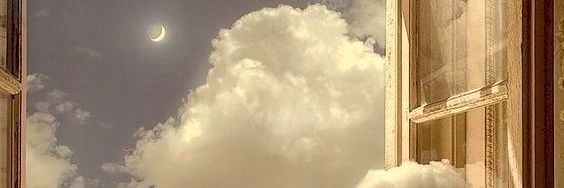 melptree's profile banner image