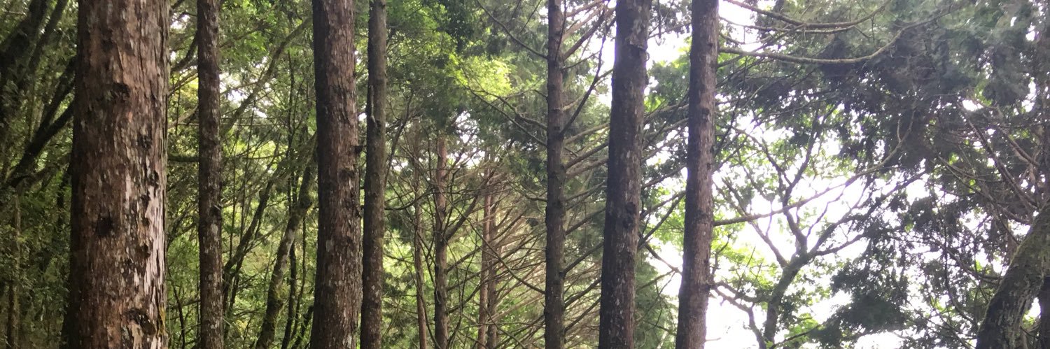 k&F桃園夫妻🎎 banner