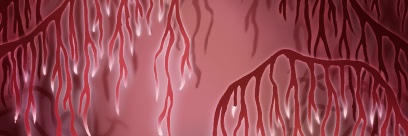 Voidillie's profile banner image
