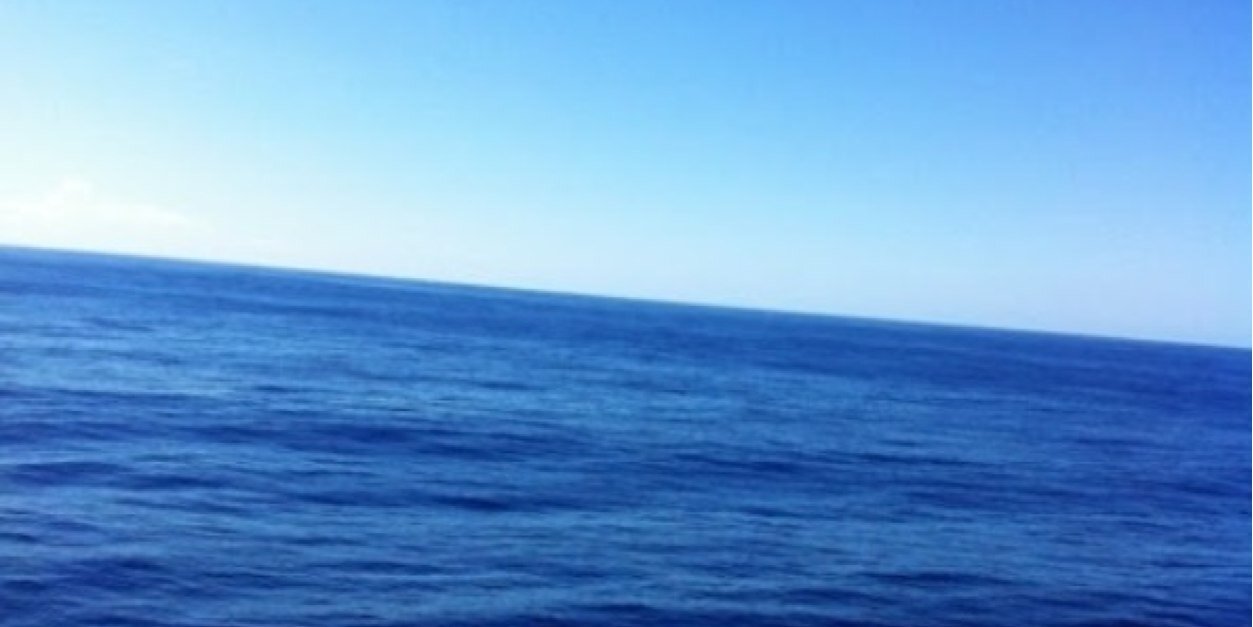 MadisonHoeppner's profile banner image