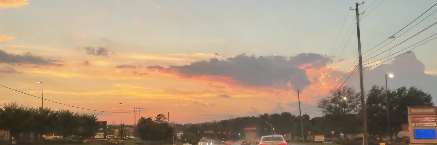 gingerrculverr's profile banner image