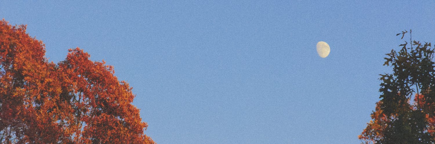 DarklySoftly's profile banner image