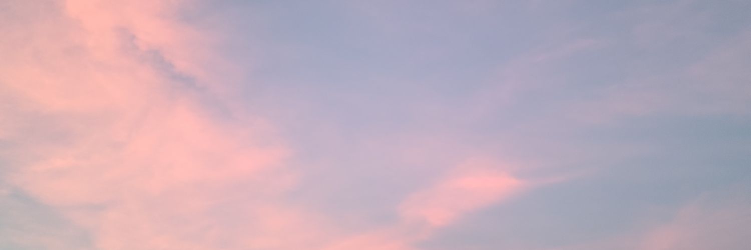 pansa1san's profile banner image