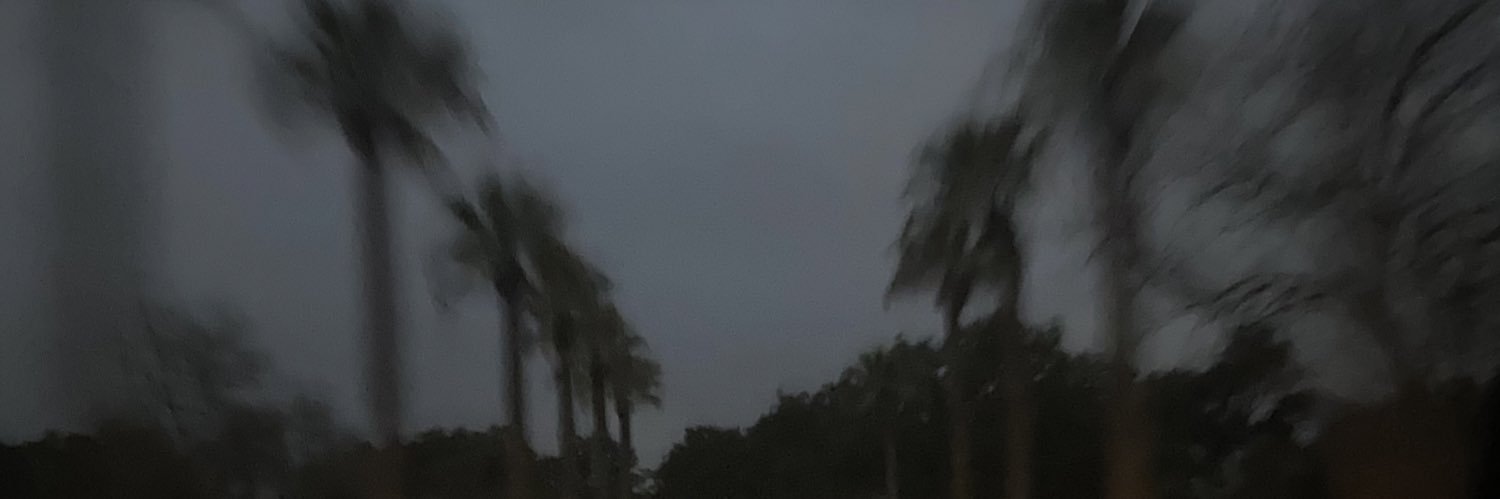 braindeadfool's profile banner image