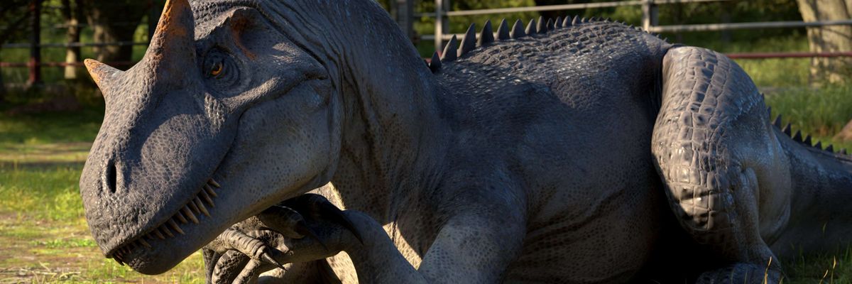 FuckTumblrMan1's profile banner image