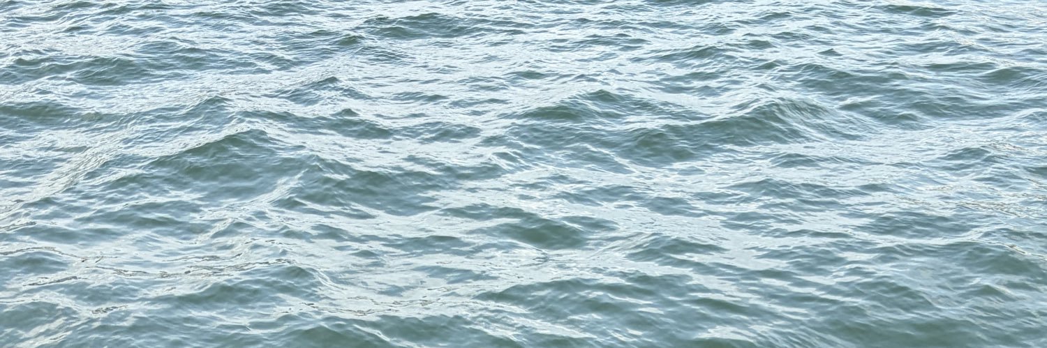 gophlet's profile banner image