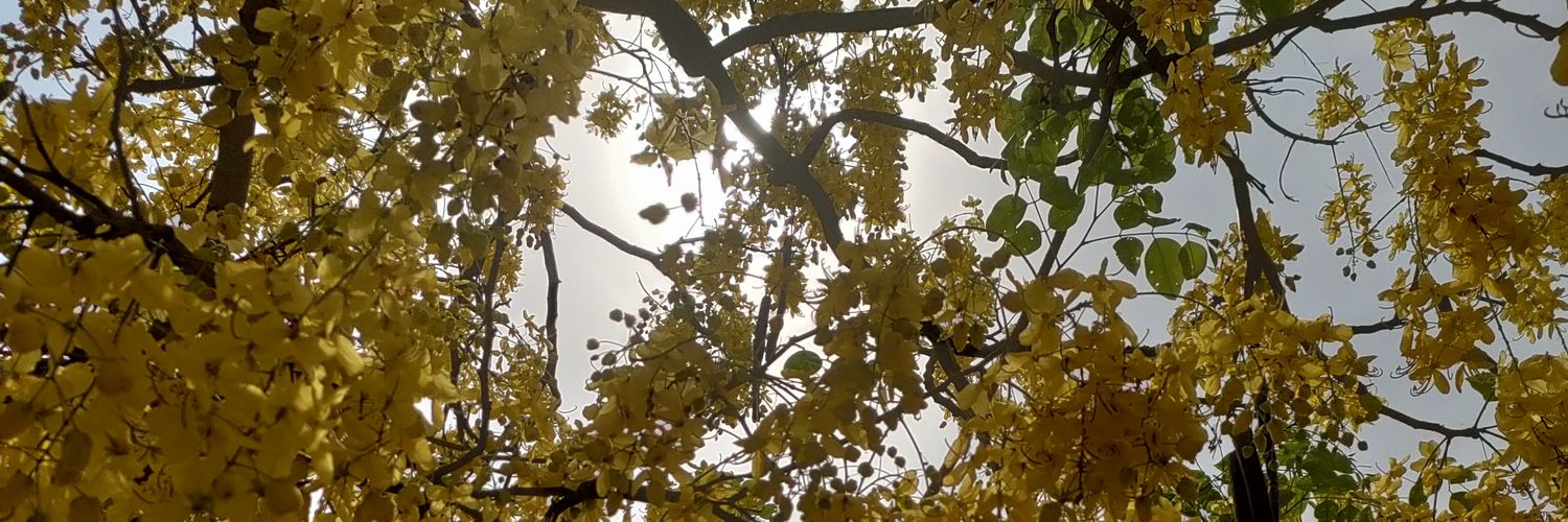 Chayanika_Baner's profile banner image
