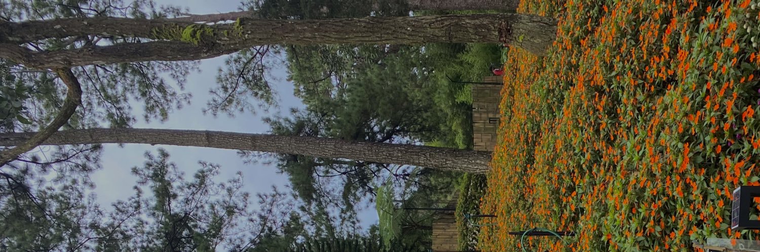 daonejaydeee's profile banner image