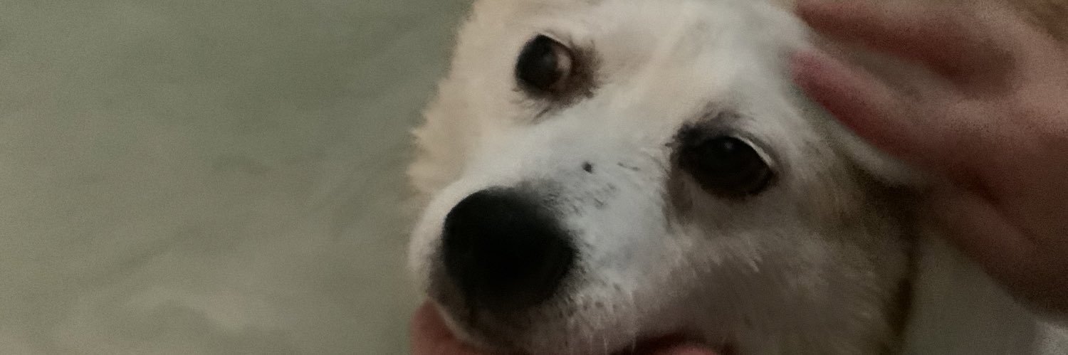 Ice_creambean's profile banner image