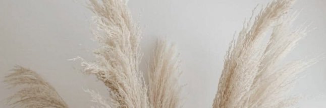 GinnMaclay's profile banner image