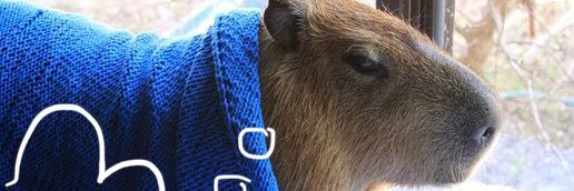 A dubiously private nsfw account banner