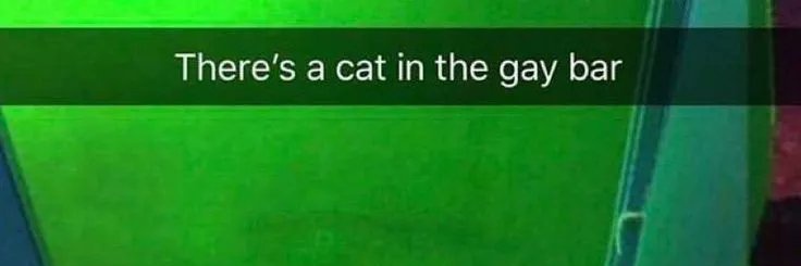 YeahImOwlPal's profile banner image
