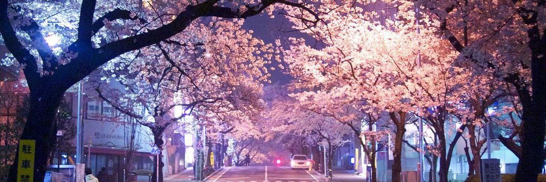 AlexHao19's profile banner image