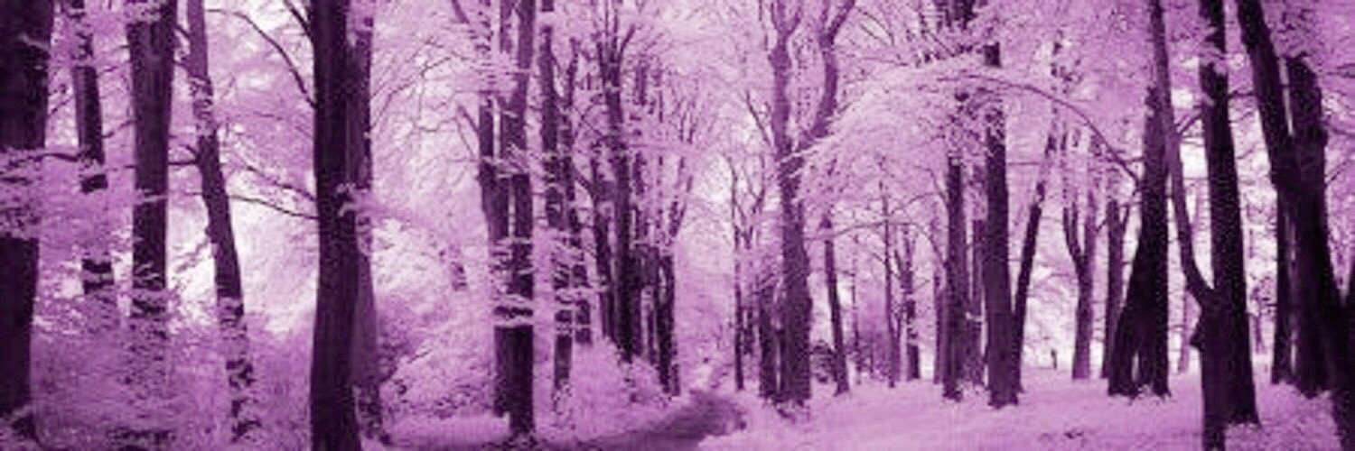 Wildflowrwindow's profile banner image