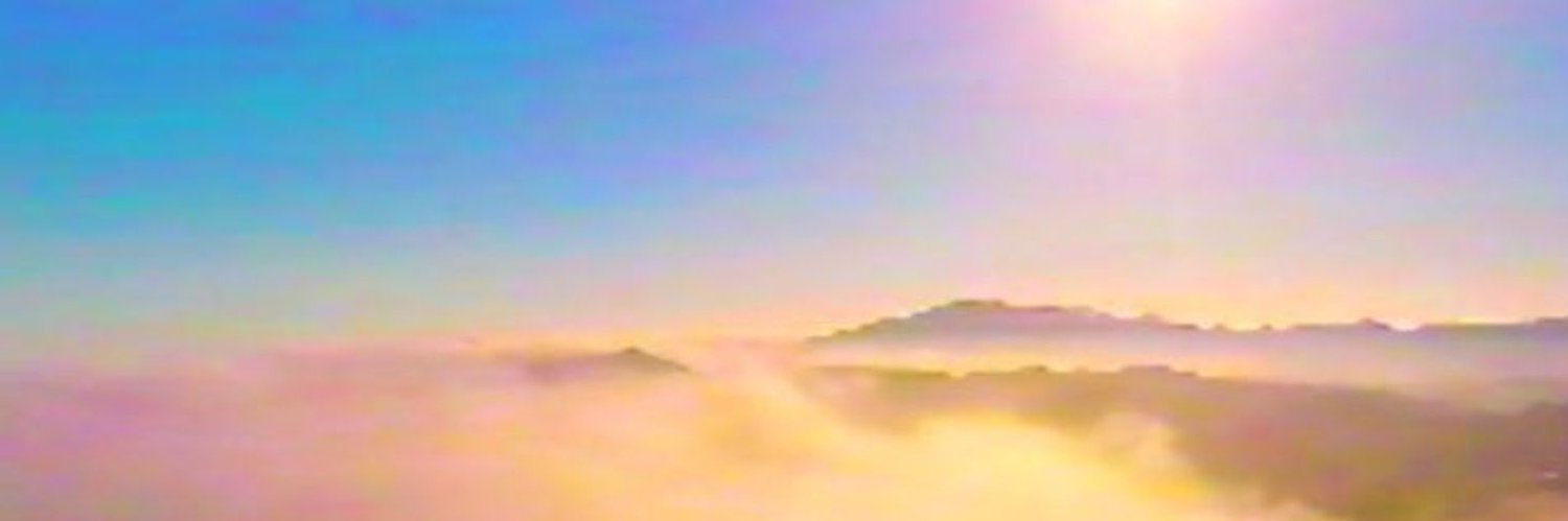 Josh banner