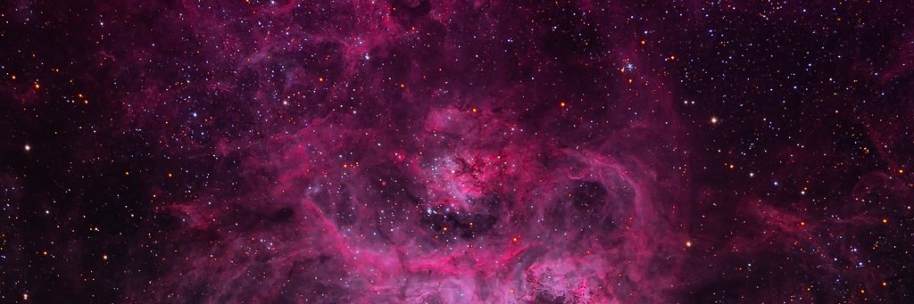 vampvore's profile banner image