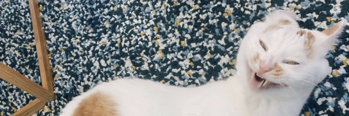 samsonite612's profile banner image