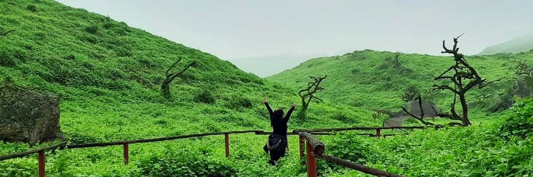Danielasanjos's profile banner image
