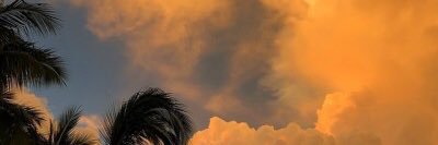 findingforever_'s profile banner image