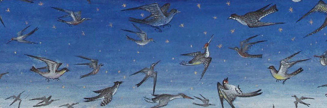 martini dan 🍸 banner