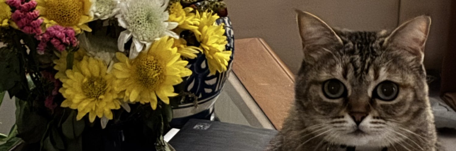 romilazos's profile banner image