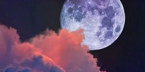 laubeel's profile banner image